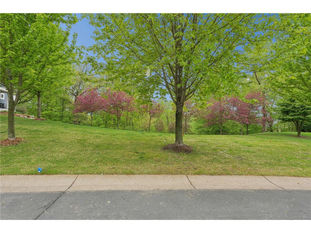 TBD Karoline Court N Forest Lake MN 55025 - Forest 7035521 image8