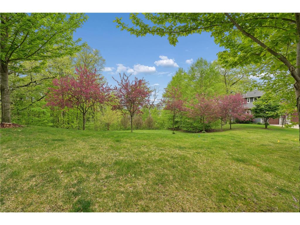 TBD Karoline Court N Forest Lake MN 55025 - Forest 7035521 image9