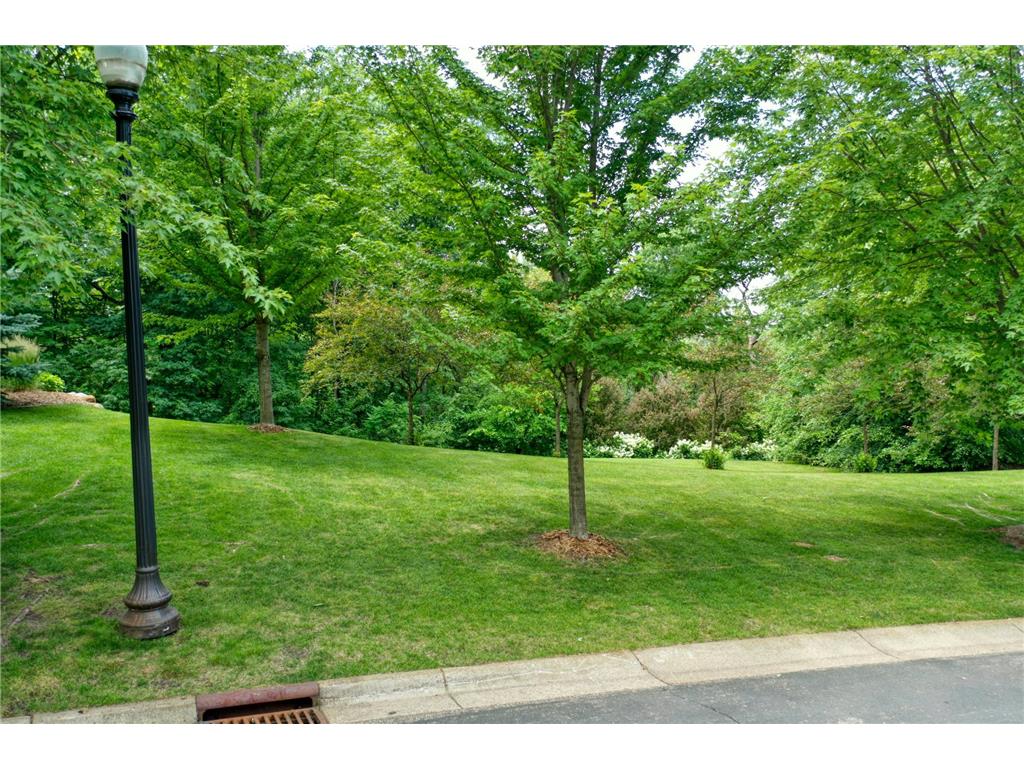 TBD Karoline Court N Forest Lake MN 55025 - Forest 7104229 image13