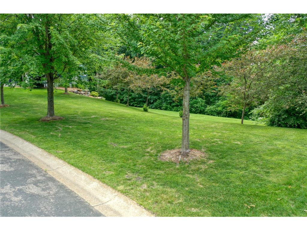 TBD Karoline Court N Forest Lake MN 55025 - Forest 7104229 image7