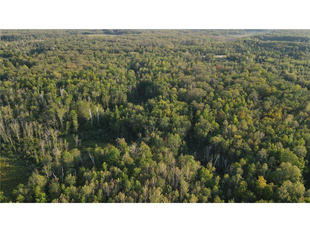 TBD Kestrel Ave. Mcgrath MN 56350 6791865 image1