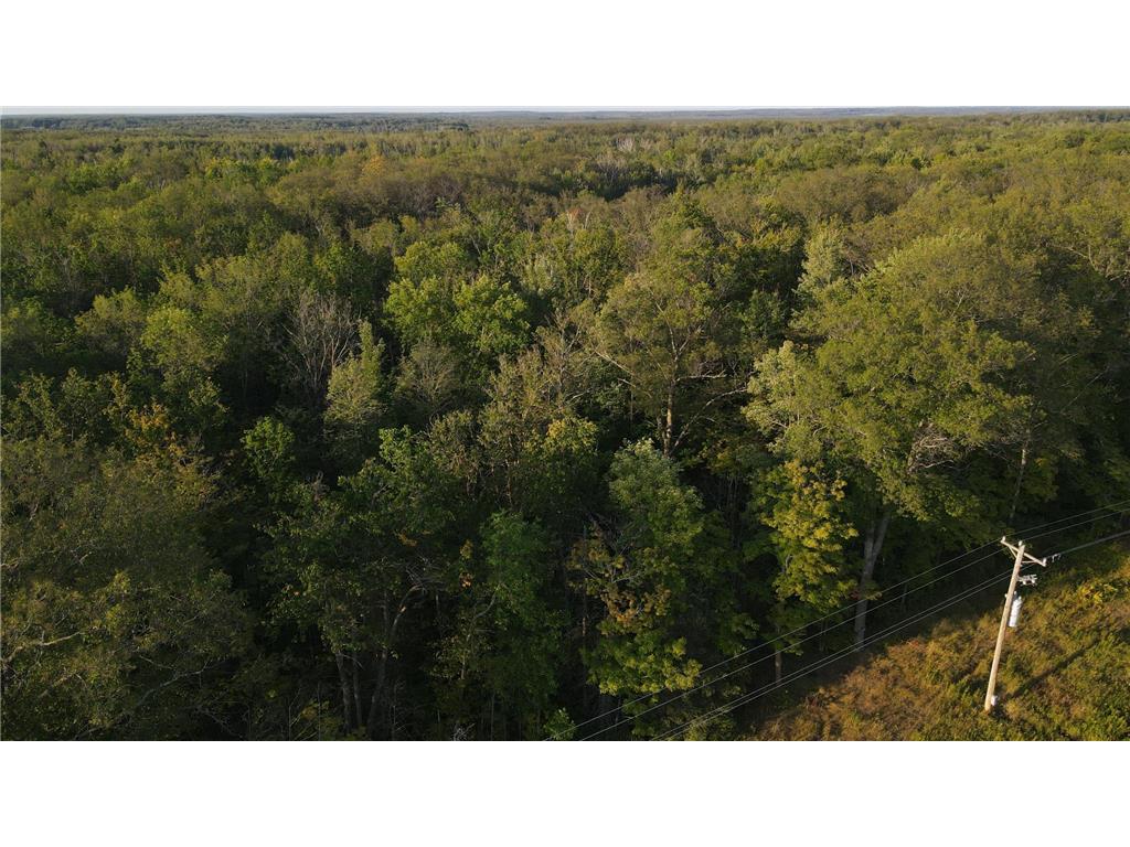 TBD Kestrel Ave. Mcgrath MN 56350 6791865 image5