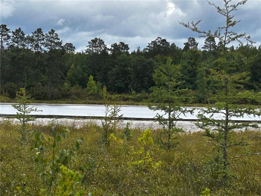 TBD Kestrel Trail NW Hackensack MN 56452 6778828 image1