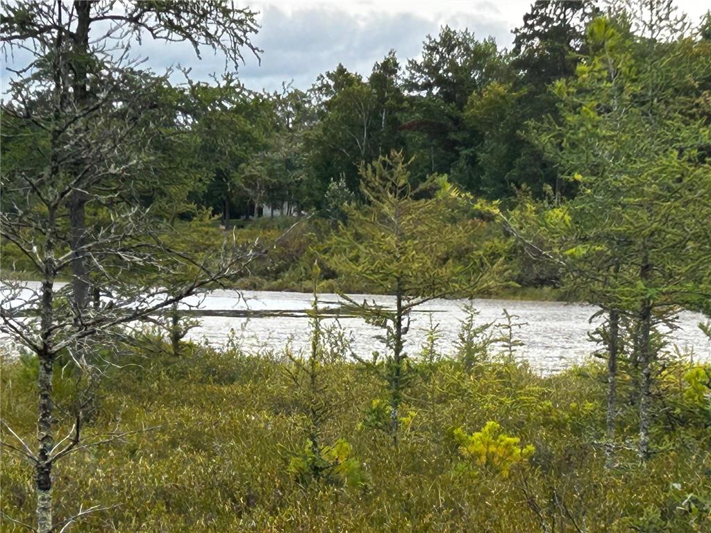 TBD Kestrel Trail NW Hackensack MN 56452 6778828 image2