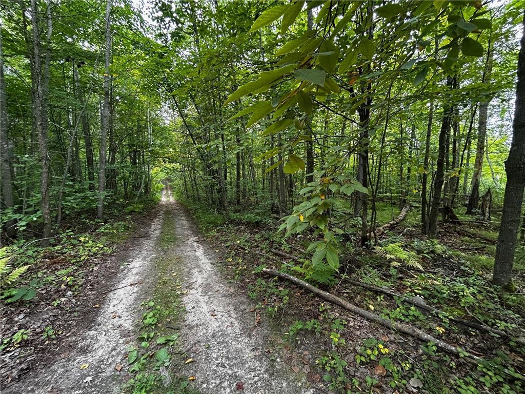 TBD Kestrel Trail NW Hackensack MN 56452 6778828 image6