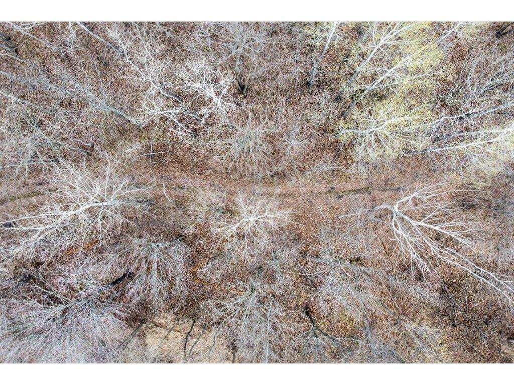 TBD Kestrel Trail NW Hackensack MN 56452 7072103 image10