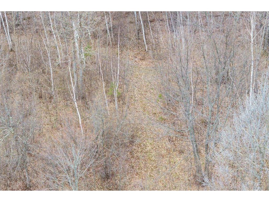 TBD Kestrel Trail NW Hackensack MN 56452 7072103 image11