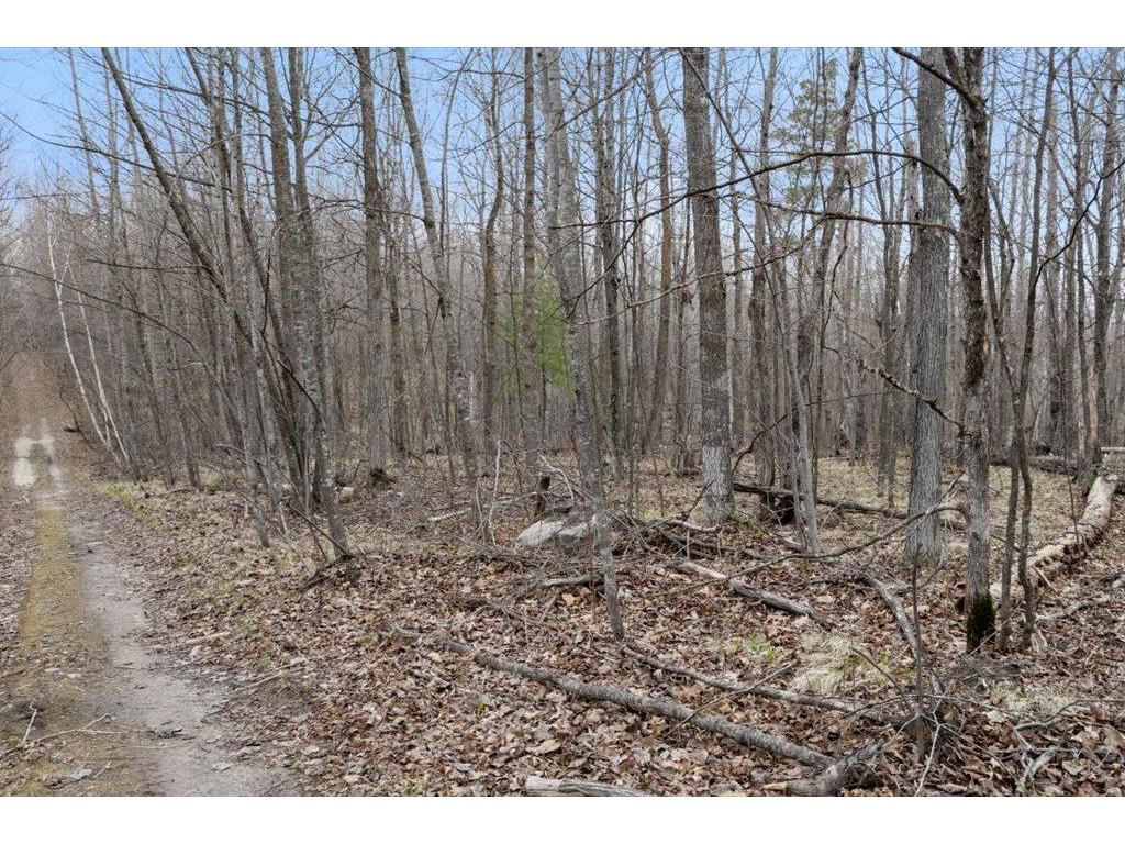 TBD Kestrel Trail NW Hackensack MN 56452 7072103 image12