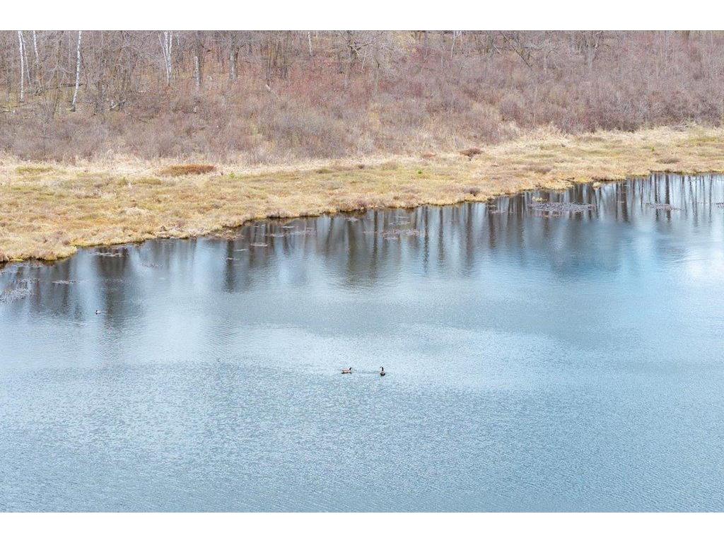 TBD Kestrel Trail NW Hackensack MN 56452 7072103 image3