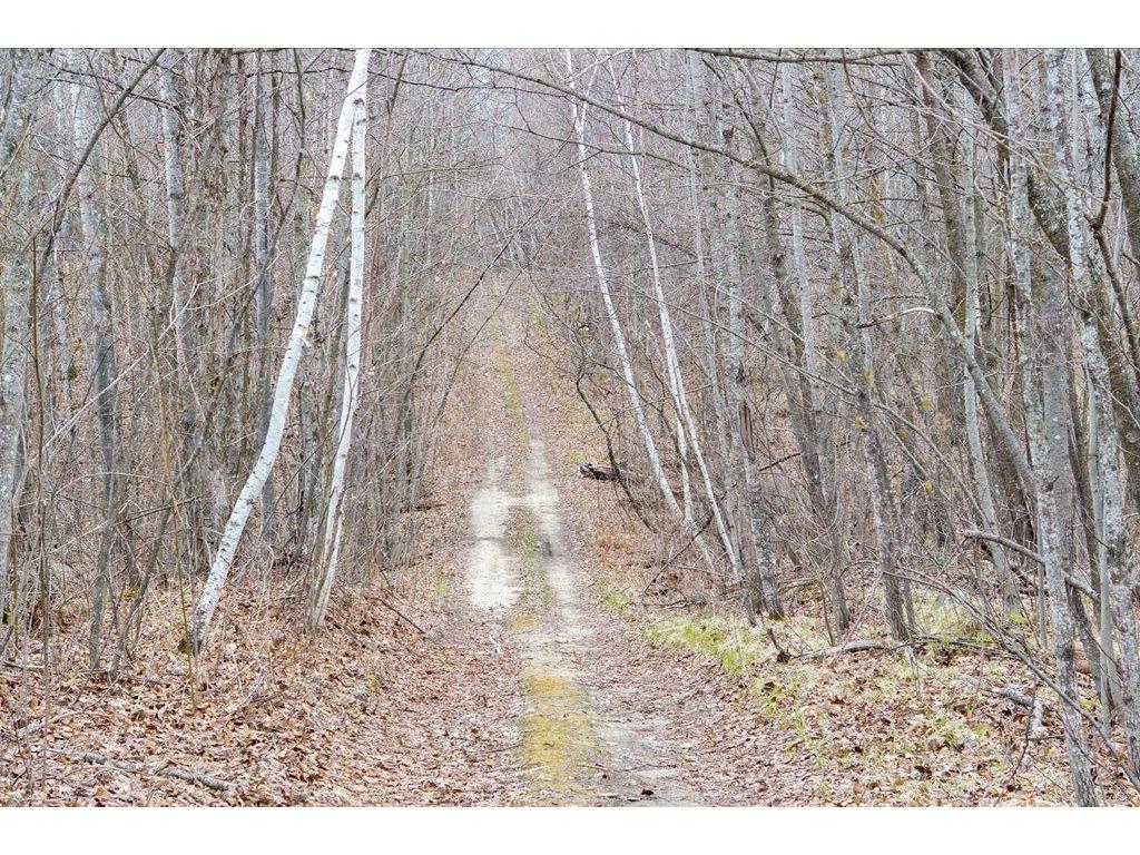 TBD Kestrel Trail NW Hackensack MN 56452 7072103 image5