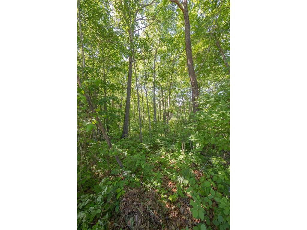 TBD. Kestrel Trail NW Hackensack MN 56452 7093865 image10