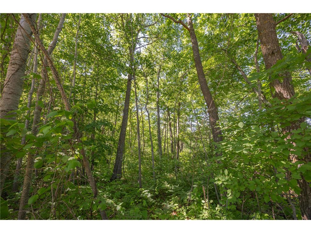 TBD. Kestrel Trail NW Hackensack MN 56452 7093865 image11
