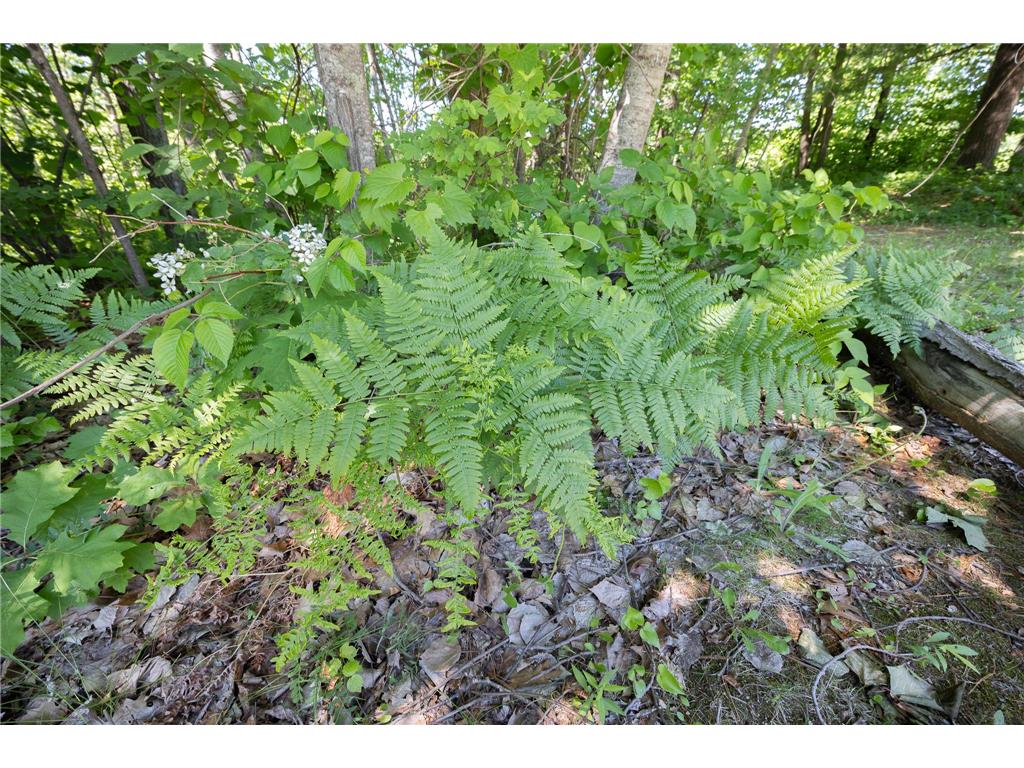 TBD. Kestrel Trail NW Hackensack MN 56452 7093865 image12