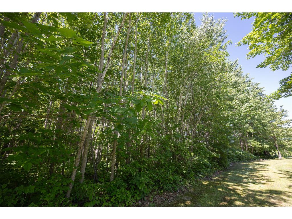 TBD. Kestrel Trail NW Hackensack MN 56452 7093865 image13