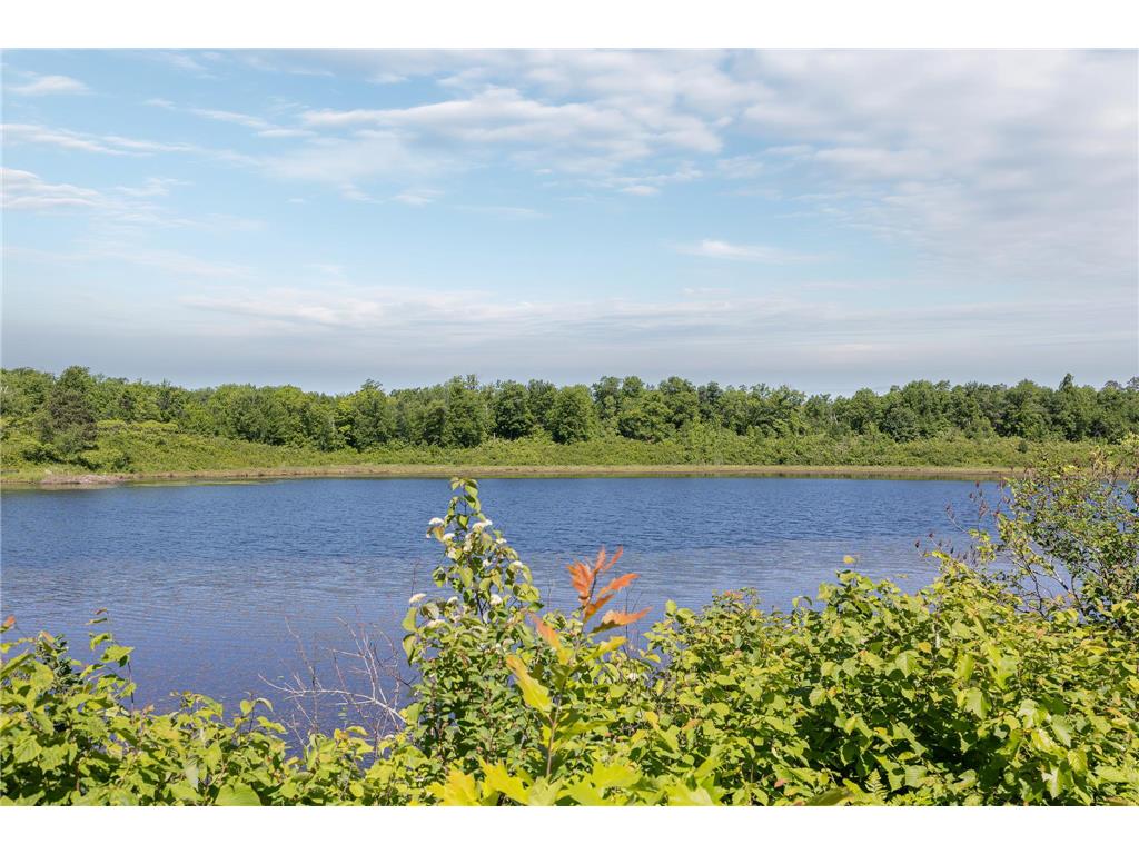 TBD. Kestrel Trail NW Hackensack MN 56452 7093865 image5