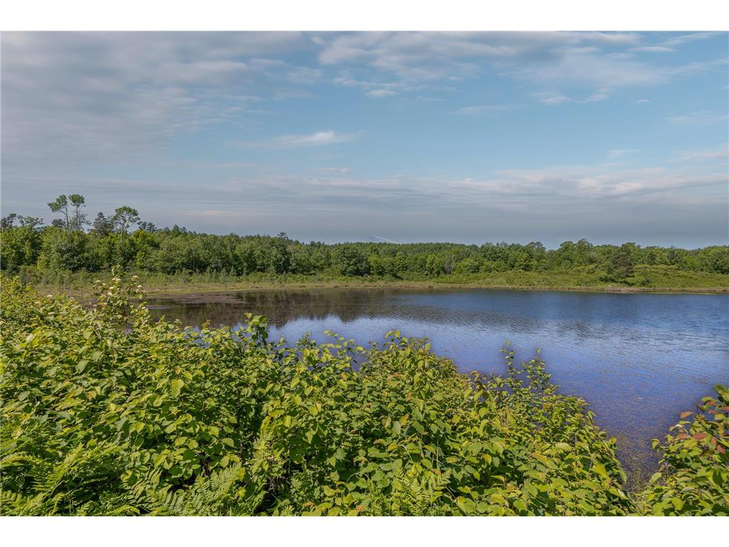 TBD. Kestrel Trail NW Hackensack MN 56452 7093865 image6