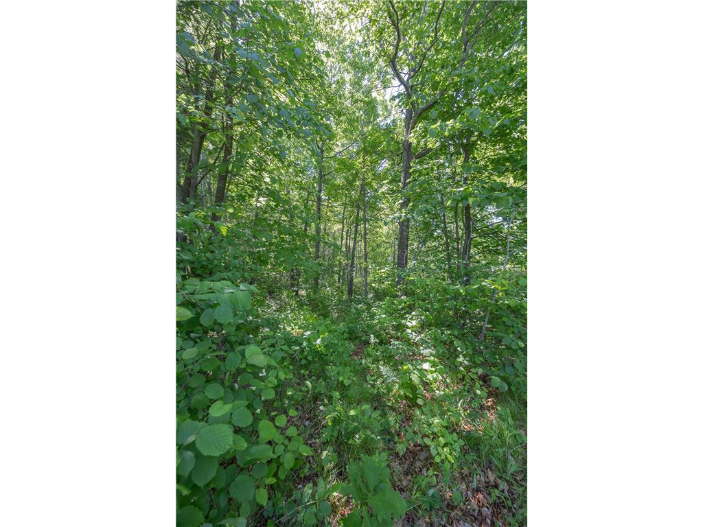 TBD. Kestrel Trail NW Hackensack MN 56452 7093865 image7