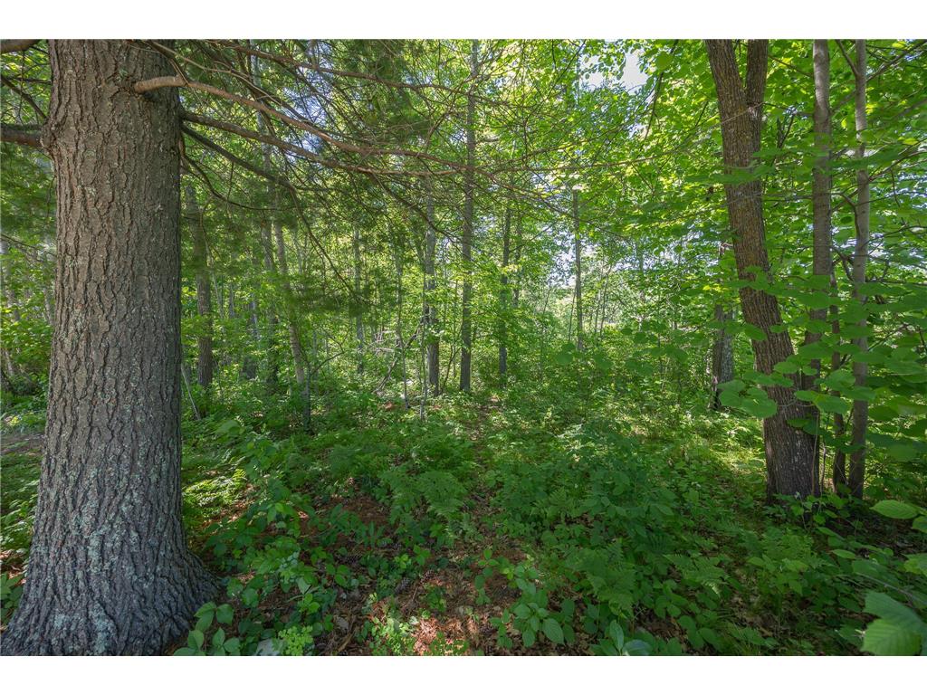 TBD. Kestrel Trail NW Hackensack MN 56452 7093865 image8