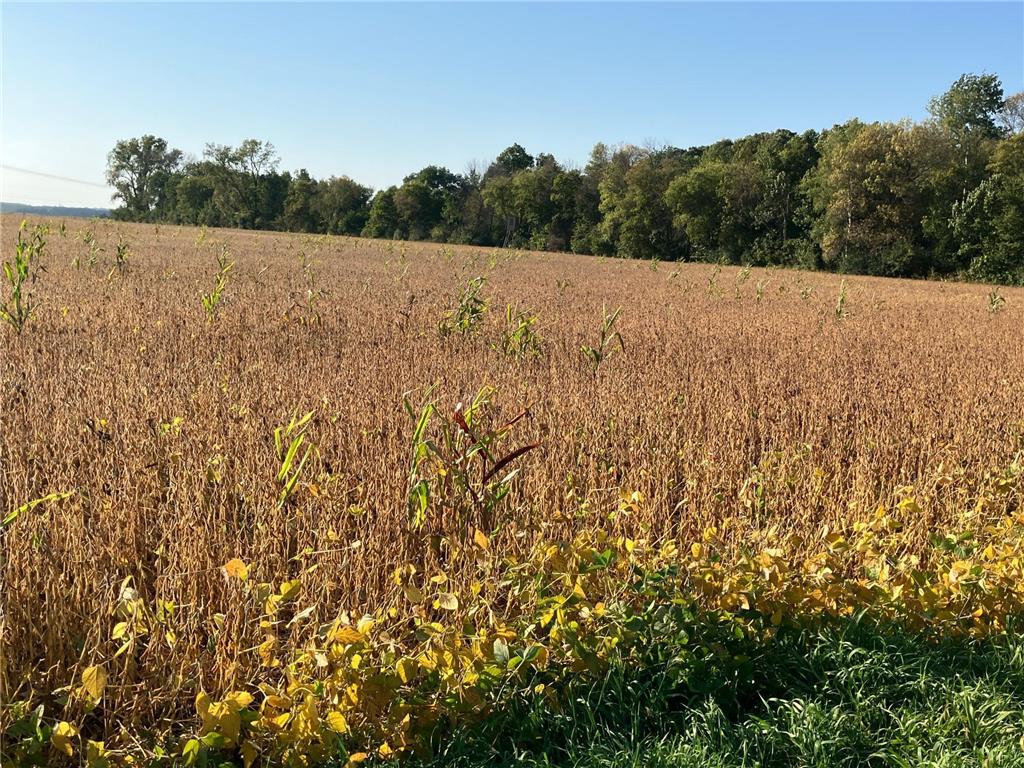 TBD Keystone Avenue North Branch MN 55056 6790190 image4