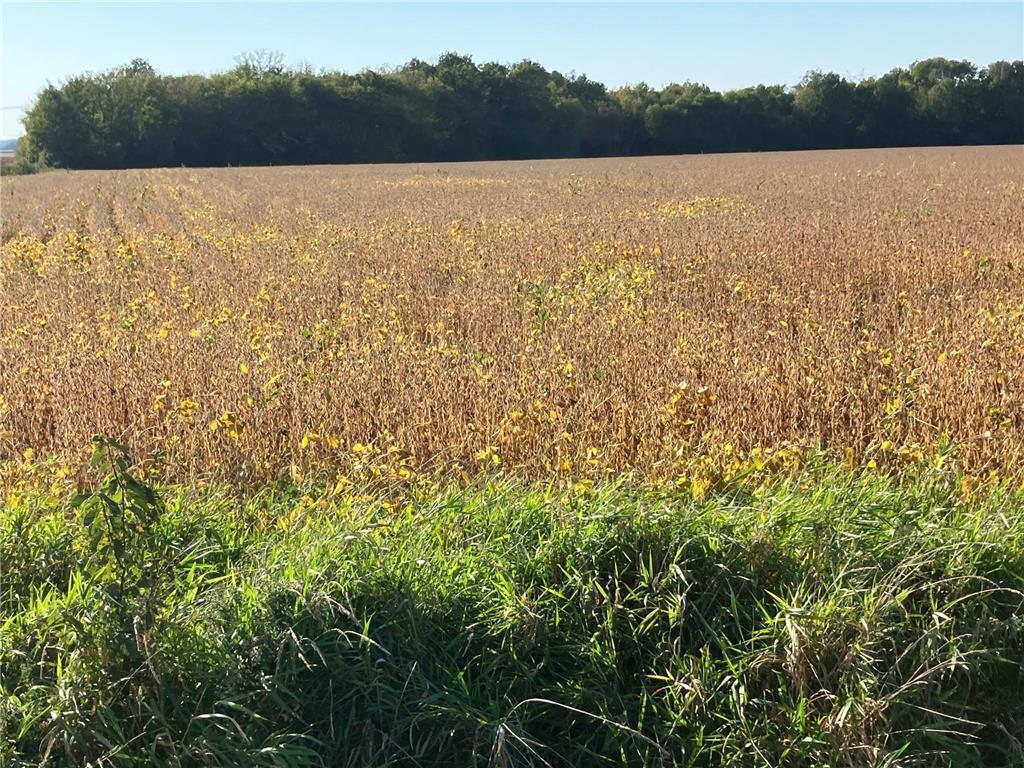 TBD Keystone Avenue North Branch MN 55056 6790190 image5