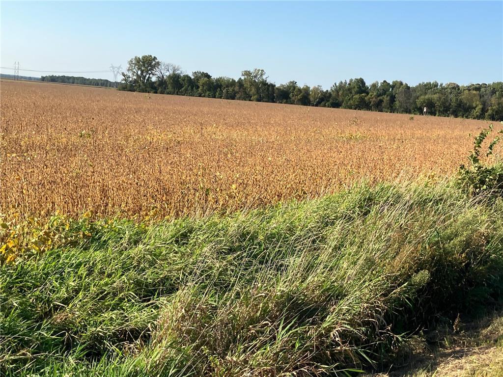 TBD Keystone Avenue North Branch MN 55056 6790190 image6