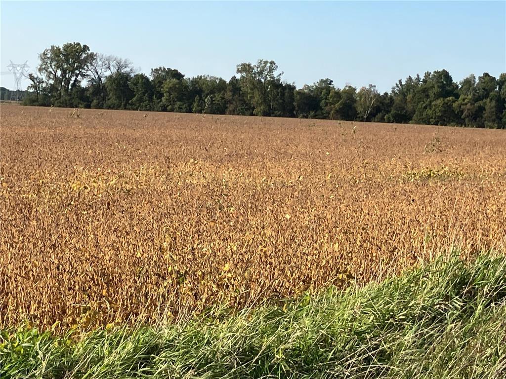 TBD Keystone Avenue North Branch MN 55056 6790190 image7