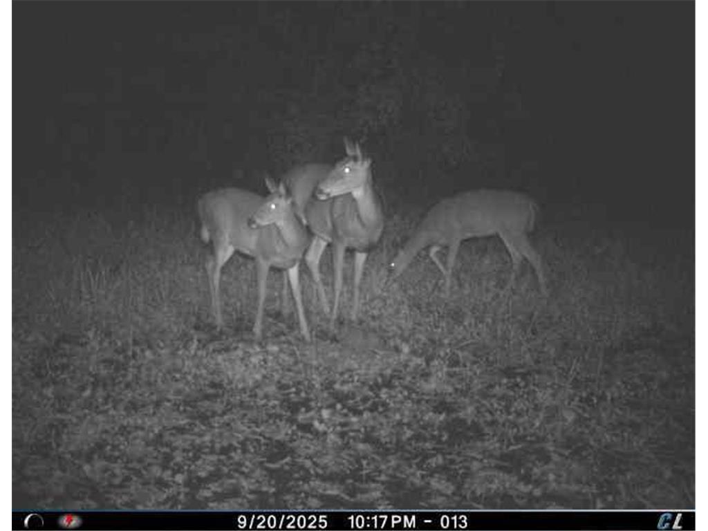 TBD Keystone Avenue North Branch MN 55056 6790190 image8