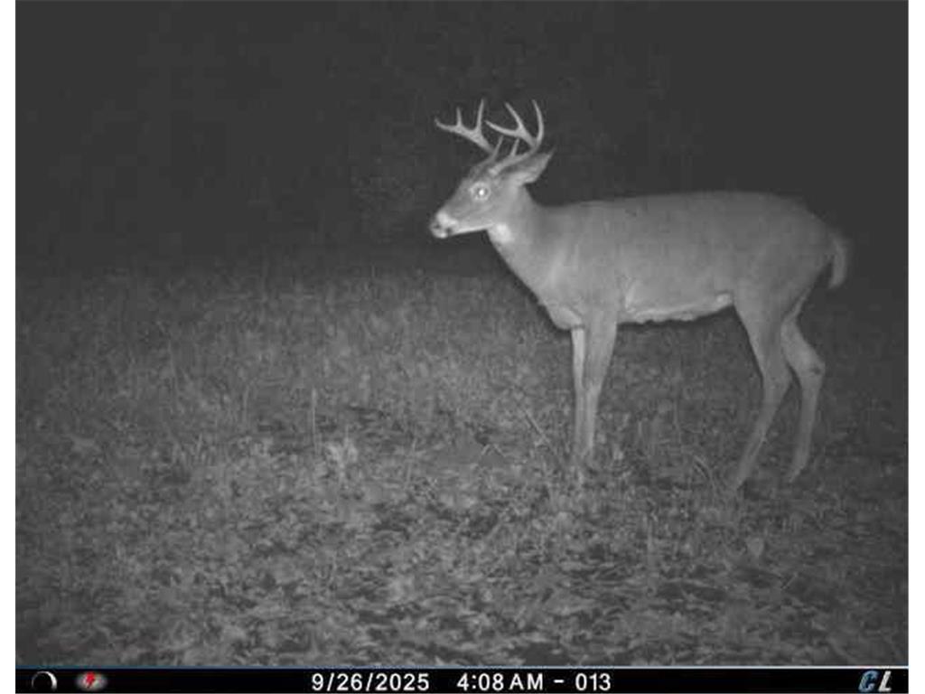 TBD Keystone Avenue North Branch MN 55056 6790190 image9