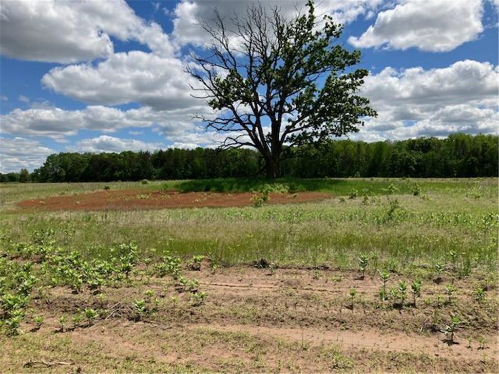 TBD Keystone Avenue Sunrise Twp MN 55032 6786790 image33