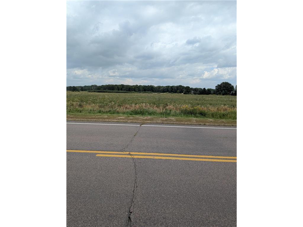 TBD King Road Brunswick Twp MN 56358 6819524 image3