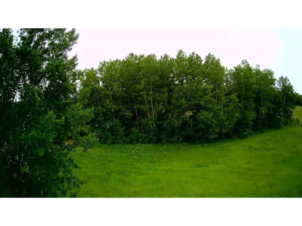 TBD Klondyke Road Irondale Twp MN 56455 - Lookout 6806891 image10