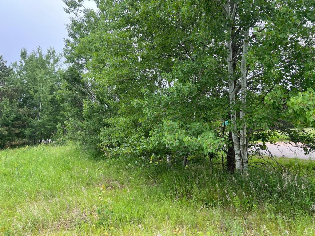 TBD Klondyke Road Irondale Twp MN 56455 - Lookout 6806891 image5