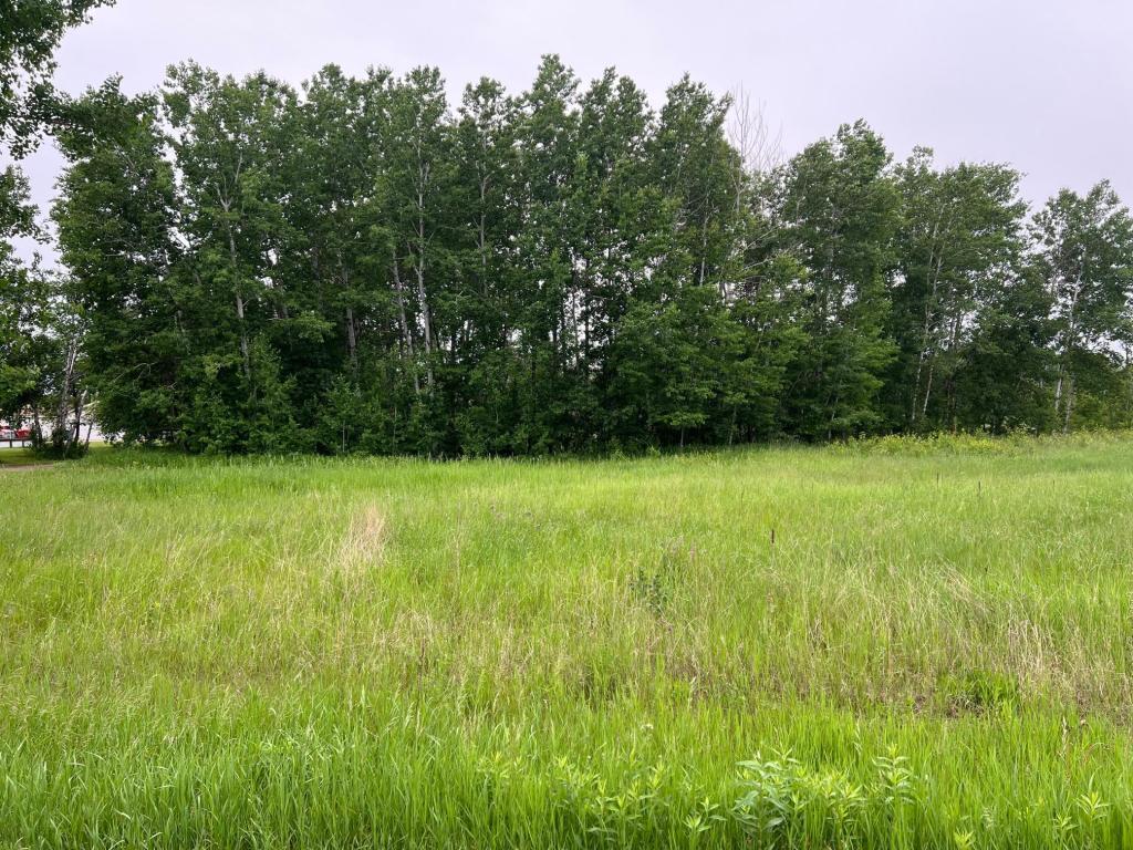 TBD Klondyke Road Irondale Twp MN 56455 - Lookout 6806891 image9