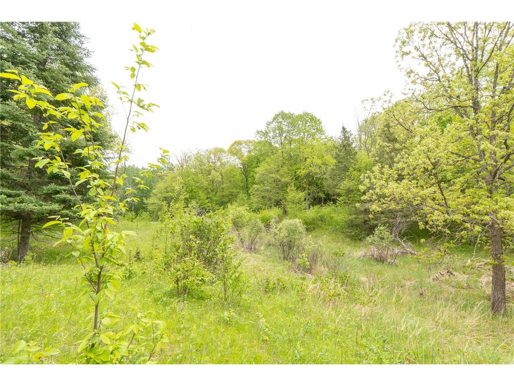 TBD Knopf Road Holmesville Twp MN 56578 6687094 image12