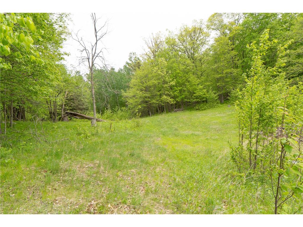 TBD Knopf Road Holmesville Twp MN 56578 6687094 image13