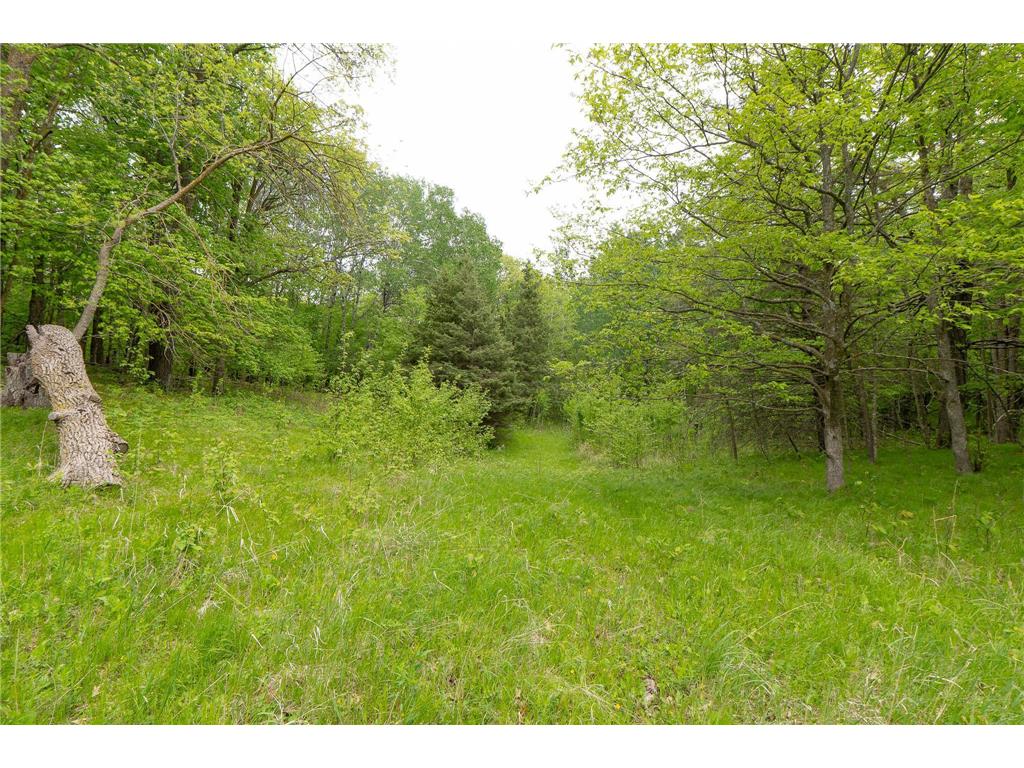 TBD Knopf Road Holmesville Twp MN 56578 6687094 image14