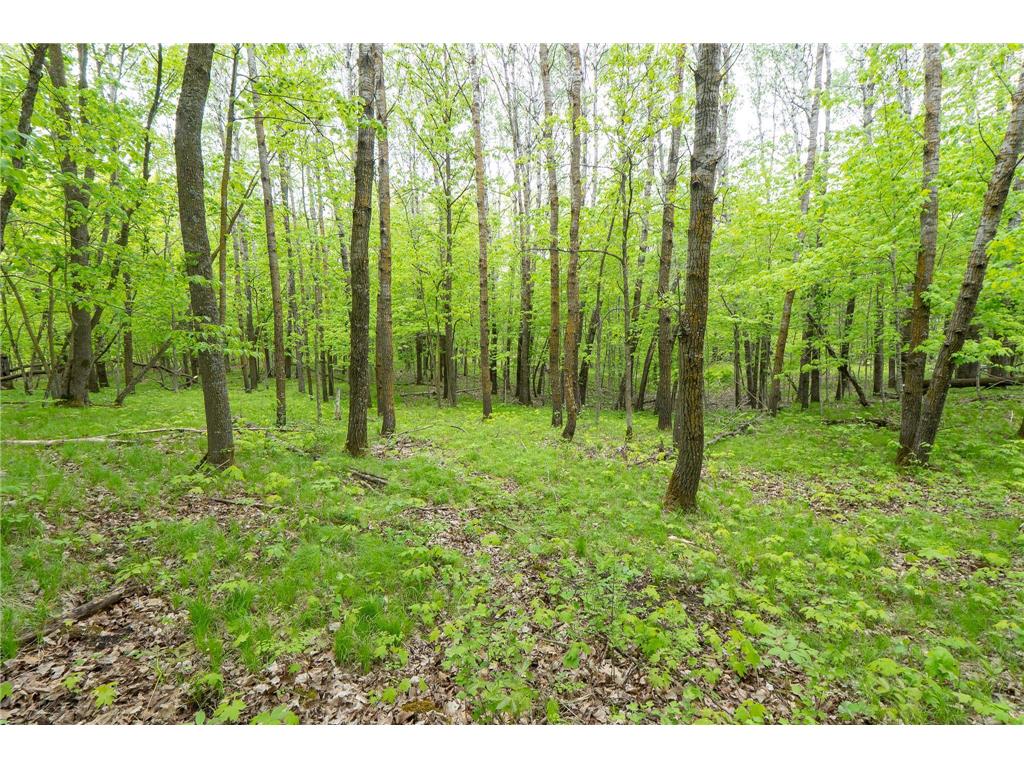 TBD Knopf Road Holmesville Twp MN 56578 6687094 image15