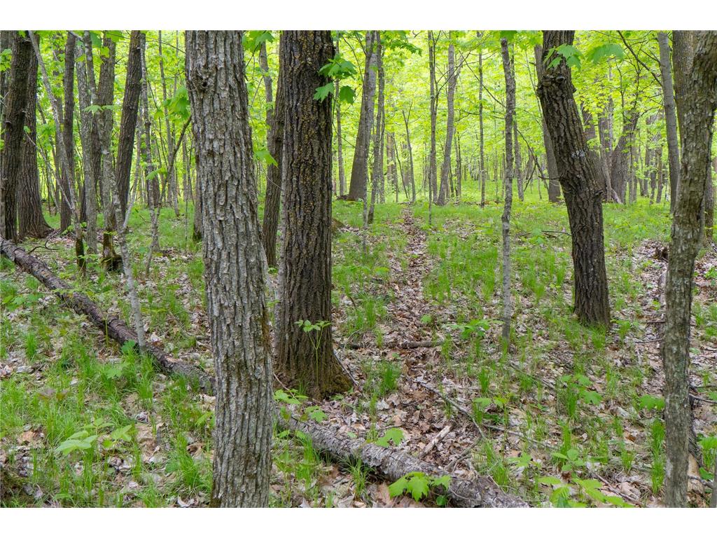 TBD Knopf Road Holmesville Twp MN 56578 6687094 image16