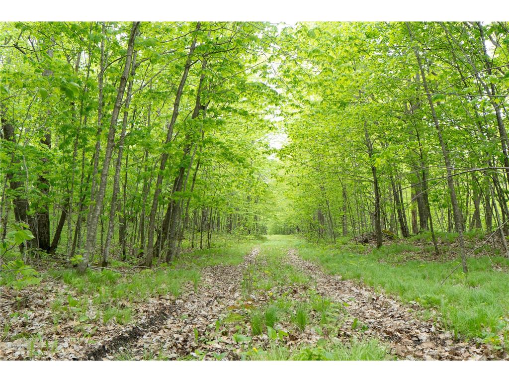 TBD Knopf Road Holmesville Twp MN 56578 6687094 image18