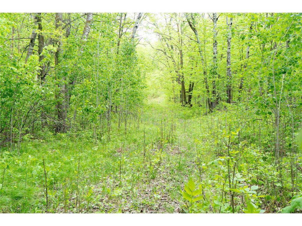 TBD Knopf Road Holmesville Twp MN 56578 6687094 image20
