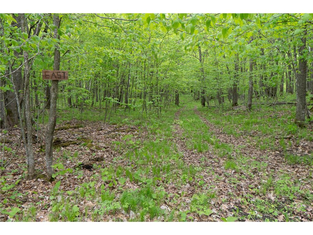 TBD Knopf Road Holmesville Twp MN 56578 6687094 image21