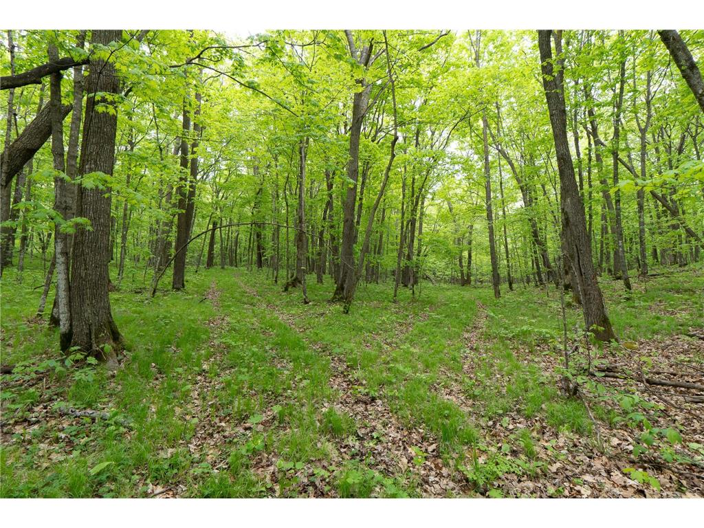 TBD Knopf Road Holmesville Twp MN 56578 6687094 image22