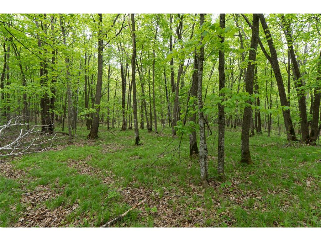 TBD Knopf Road Holmesville Twp MN 56578 6687094 image23