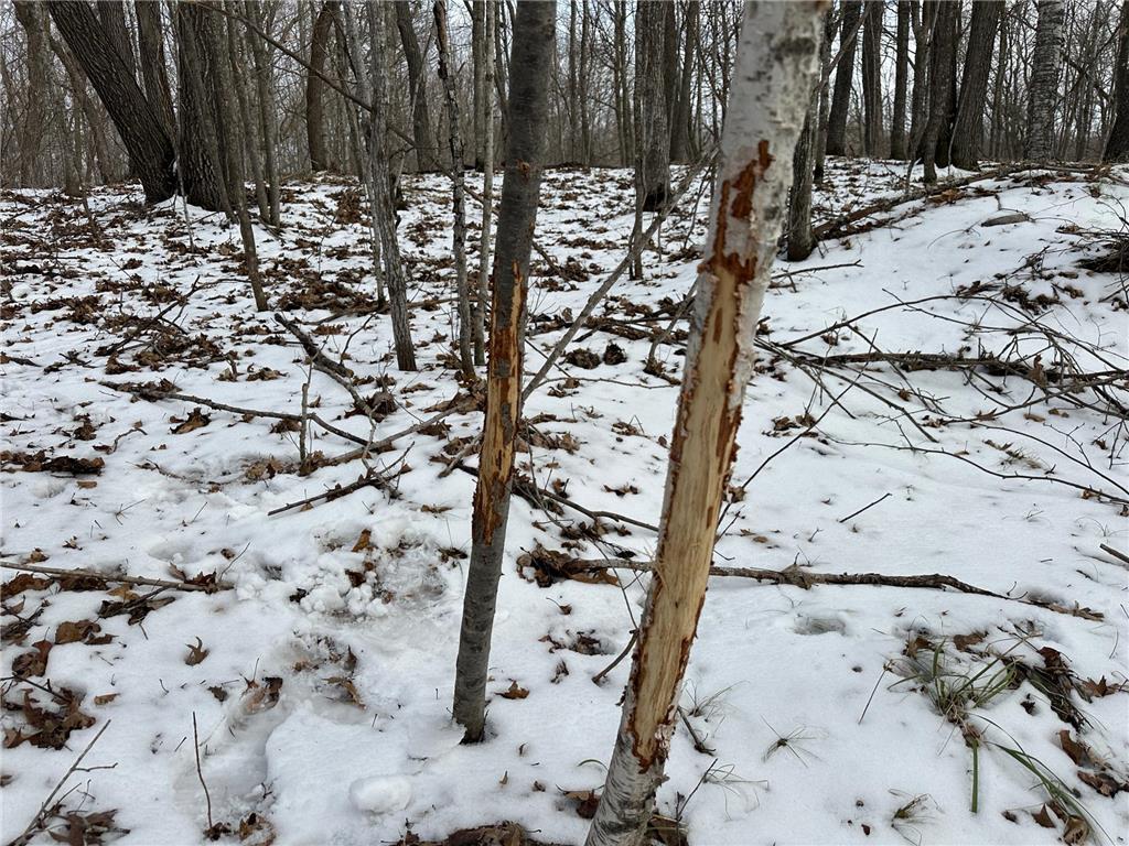 TBD Knopf Road Holmesville Twp MN 56578 6687094 image26