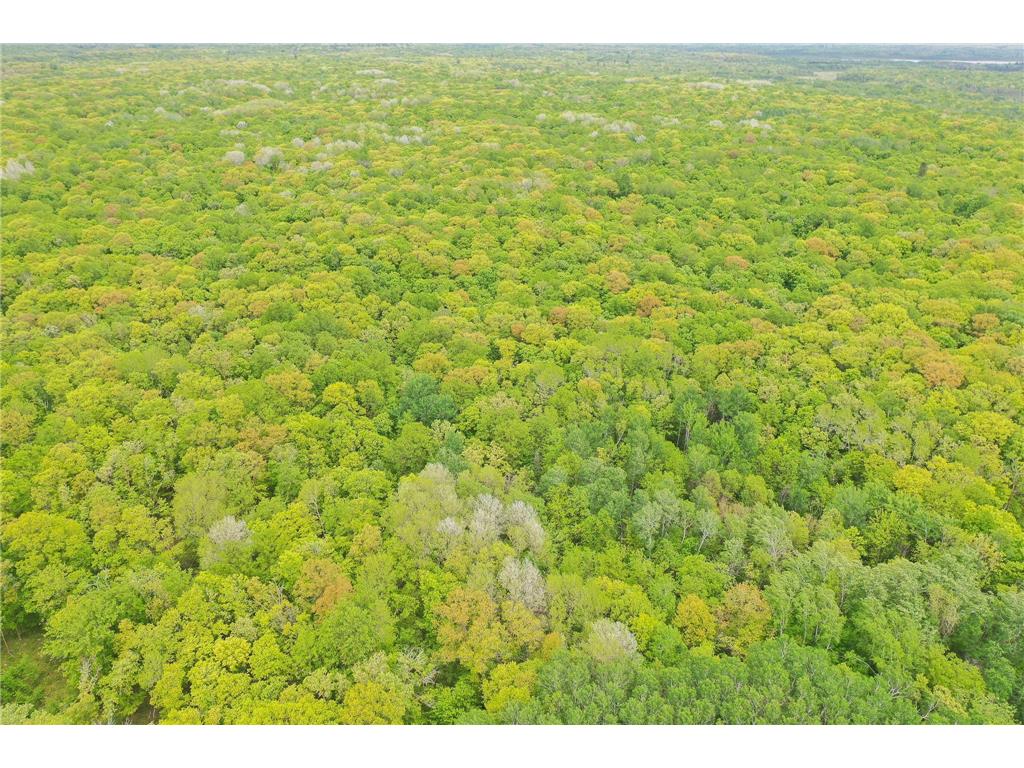 TBD Knopf Road Holmesville Twp MN 56578 6687094 image3