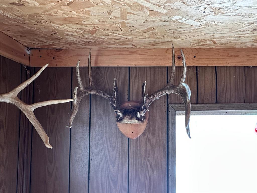 TBD Knopf Road Holmesville Twp MN 56578 6687094 image34