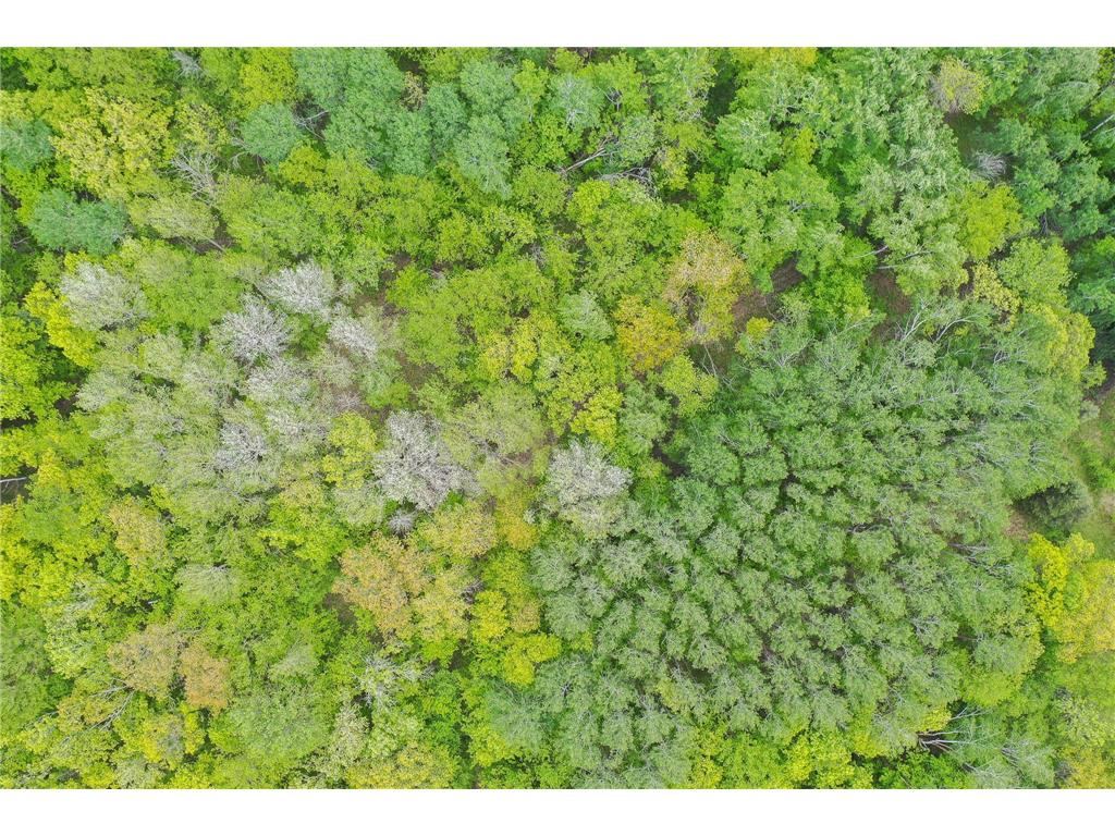 TBD Knopf Road Holmesville Twp MN 56578 6687094 image4