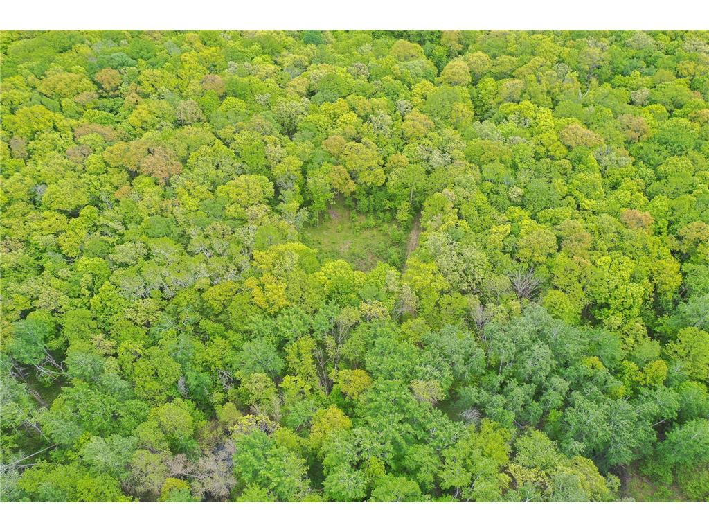 TBD Knopf Road Holmesville Twp MN 56578 6687094 image5