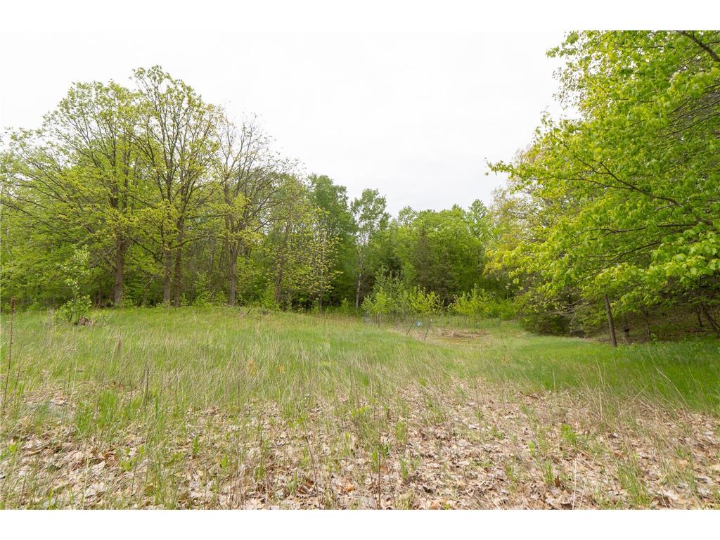 TBD Knopf Road Holmesville Twp MN 56578 6687094 image7