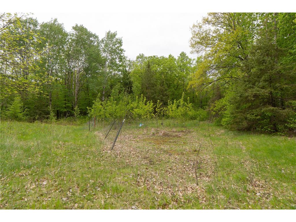 TBD Knopf Road Holmesville Twp MN 56578 6687094 image8
